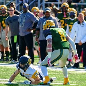 Meet your Posher, Frank